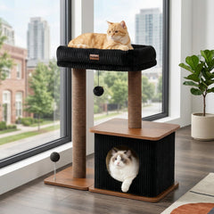 Purrlato vue avant complète montrant stabilité et design boho