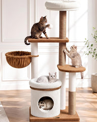 Purrlato vue de face de l'arbre à chat sur base large et stable