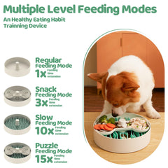 Puzzle Feeder vue de haut avec inserts alternés pour ralentir l'alimentation