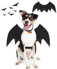Pweituoet ailes de chauve-souris vue frontale et ensemble complet, transforme le chien