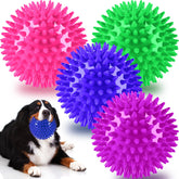 Pweituoet balle face avant visible couleurs vives pour attractivité