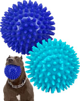 Pweituoet balle face avant montrant forme et couleur vives pour attirer chien