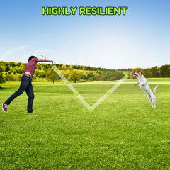Pweituoet balle en action lors d'un lancer au parc, encourage exercice