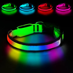 PWOD collier LED face avant montrant les couleurs et sécurité accrue
