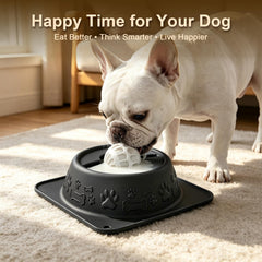 PYNOOV gamelle utilisée par un chien montrant consommation contrôlée