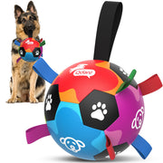 QDAN balle vue de face montrant les sangles et le rebond pour jeu actif