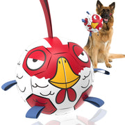 QDAN ballon de foot face avant montrant design coloré pour attirer chien