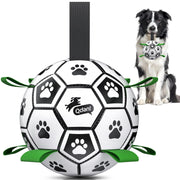 QDAN ballon face avant montrant le design et l'empreinte pour attirer le chien