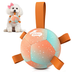QDAN ballon front montrant le design et le rebond pour jeu actif