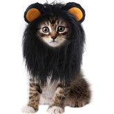 Qiansail bonnet crinière de face, rend votre chat spectaculaire