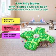 Qraxond en usage avec chat actif, procure exercice et stimulation mentale