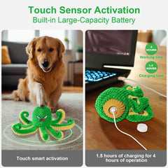 Qraxond chien jouant en extérieur maintien actif et divertissement