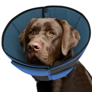 Queenmore collerette face montrant protection confortable