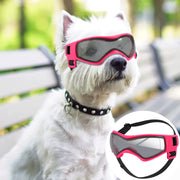 QUMY lunettes pour chien vue avant montrant maintien confortable
