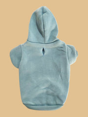 QWINEE visualisation taille sur petit chien pour choix facile