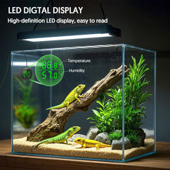 QZQ installé dans terrarium, permet surveillance continue de l'environnement