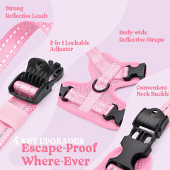 rabbitgoo boucles et fermoirs camm lock pour ajustement rapide