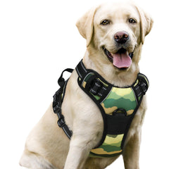 rabbitgoo harnais avant vert classique montrant coupe et fermeture, meilleure sécurité
