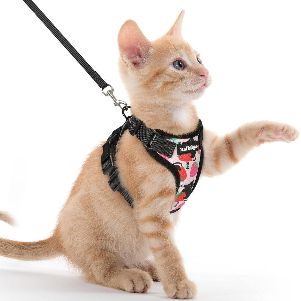 rabbitgoo harnais vue avant gilet confortable pour promenades sûres