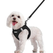 rabbitgoo harnais gilet face avant montrant coupe ergonomique et confort