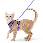 rabbitgoo harnais face avant violet montrant coupe gilet et confort
