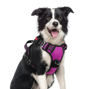 rabbitgoo harnais face avant montrant coupe vest confortable