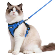 rabbitgoo harnais face avant montrant coupe gilet et maintien confortable