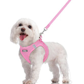 rabbitgoo harnais face avant montrant maintien confortable pour promenades