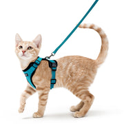 rabbitgoo harnais face avant montrant gilet sécurisé et style teal pour promenades sûres