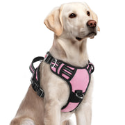 rabbitgoo harnais vue avant emballage, installation rapide et pratique