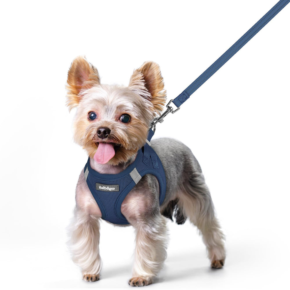 rabbitgoo harnais vue de face gilet confortable pour promenades sécurisées