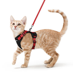rabbitgoo harnais gilet face avant montrant maintien confortable