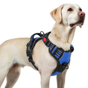 rabbitgoo harnais grand chien face avant montrant maintien et confort
