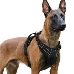 rabbitgoo harnais grand chien vu de face, maintien sûr et ergonomique