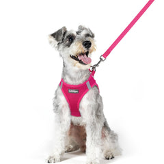 rabbitgoo harnais vue face montrant coupe enveloppante et confort