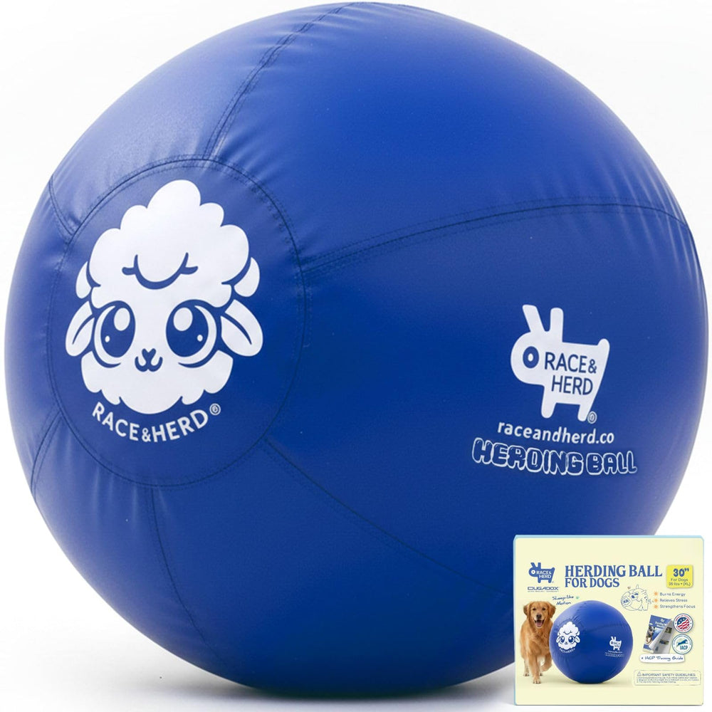 Race&Herd balle 30" face avant montrant taille et couleur Ocean, visibilité extérieure