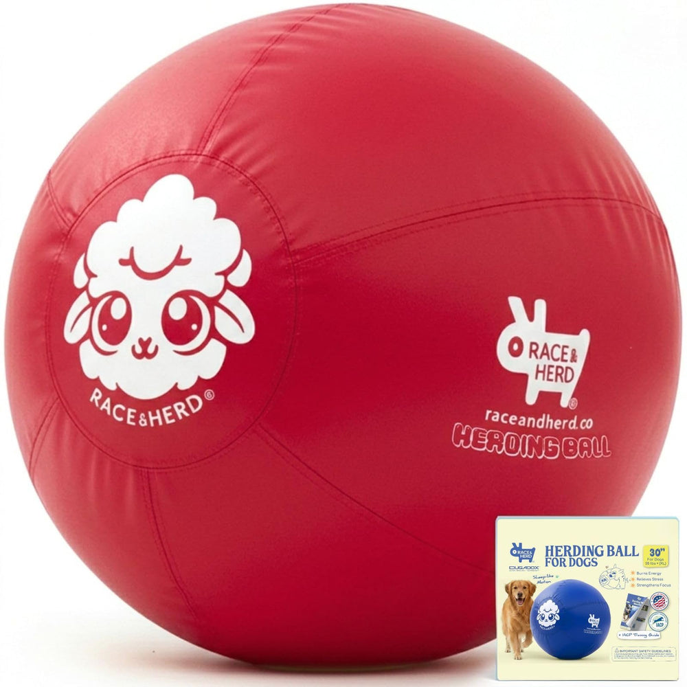 Race&Herd balle de troupeau 30" vue frontale pour jeu extérieur sécurisé