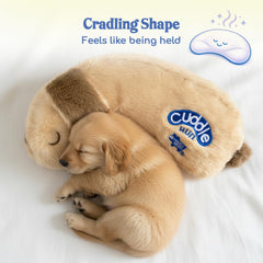 Race&Herd chiot dans caisse avec CuddleBun réduisant anxiété