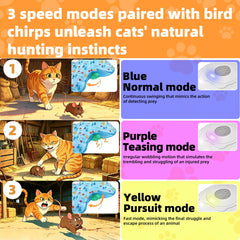 RAIN-MOOSE comparaison de taille avec main humaine pour visualiser l'échelle pratique