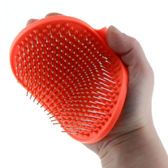Raw Paws vue avant de la brosse palmaire, prise confortable et efficace