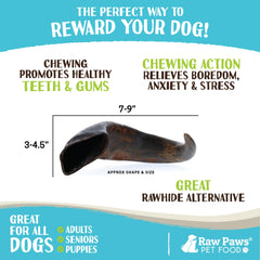 Raw Paws corne de buffle chien en train de mâcher activité apaisante