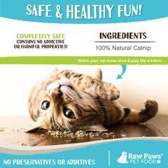 Raw Paws action de remplir un jouet pour amusement durable