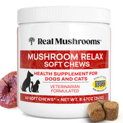 Real Mushrooms emballage des Calming Chews montrant 60 pastilles et bénéfice apaisant