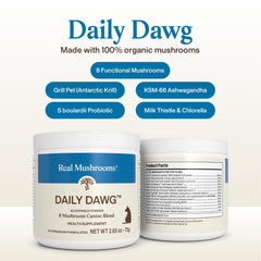 Real Mushrooms cuillère de dosage illustrant la posologie facile pour chiens