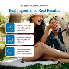 Real Mushrooms poudre mélangée à une gamelle pour une alimentation enrichie