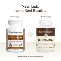 Real Mushrooms emballage avec mentions bio et sans additifs visible
