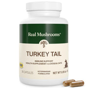 Real Mushrooms emballage avant montrant 90 gélules, transparence et qualité
