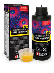 Red Sea bouteille 250 ml montrant l'emballage et le format pratique