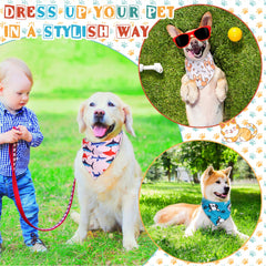 Reginary chien porte en extérieur, bandana visible et agréable pour promenades