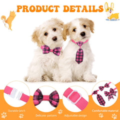 Reginary nœud papillon porté par chien : look élégant et confortable